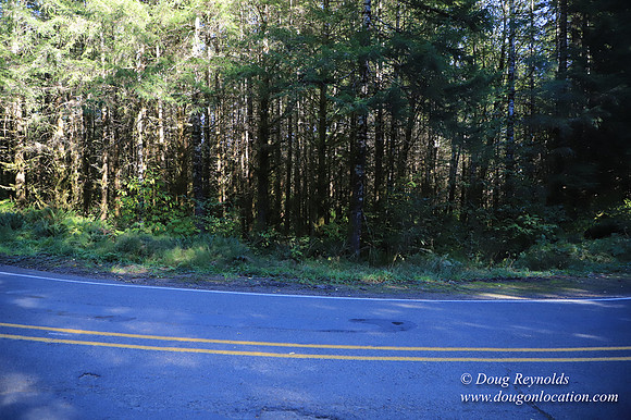 Hwy 53