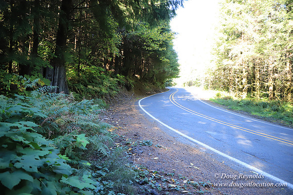 Hwy 53
