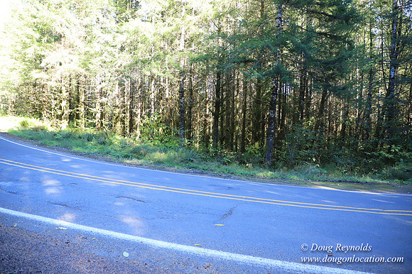 Hwy 53