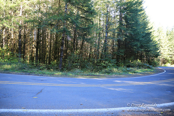 Hwy 53