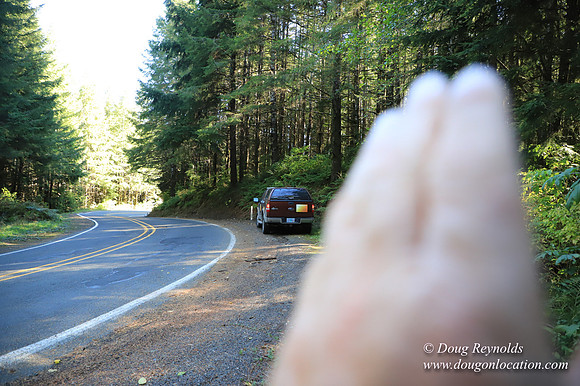 Hwy 53