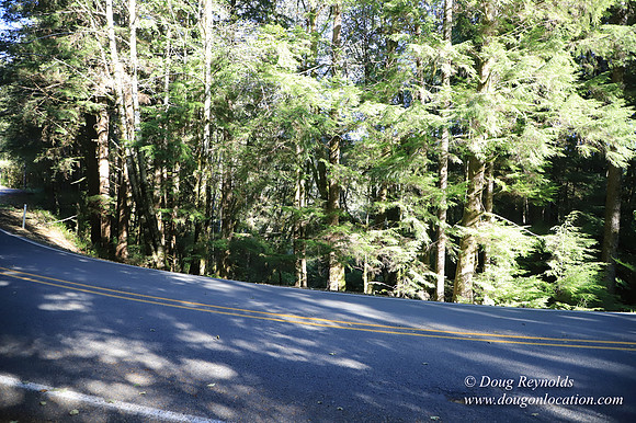 Hwy 53