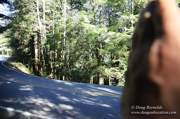 Hwy 53