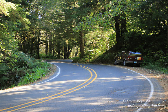 Hwy 53