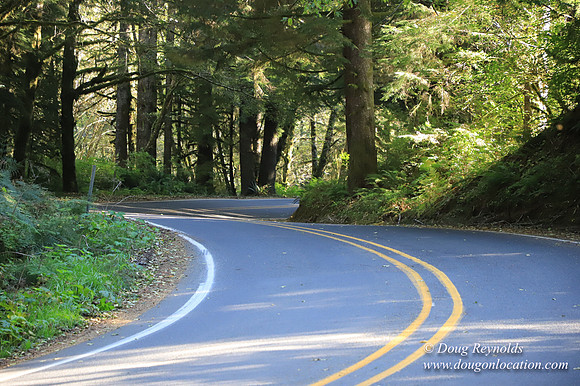 Hwy 53