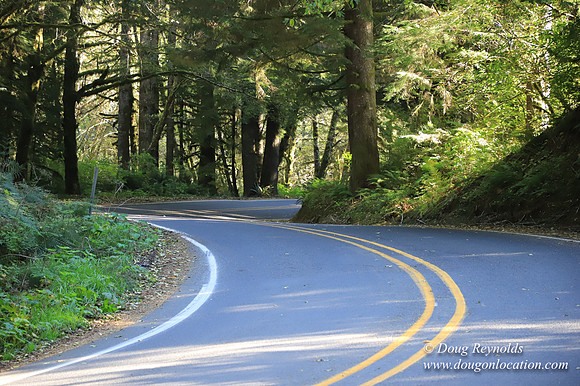 Hwy 53