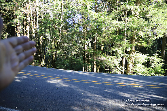 Hwy 53