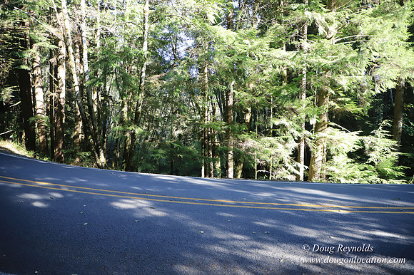 Hwy 53