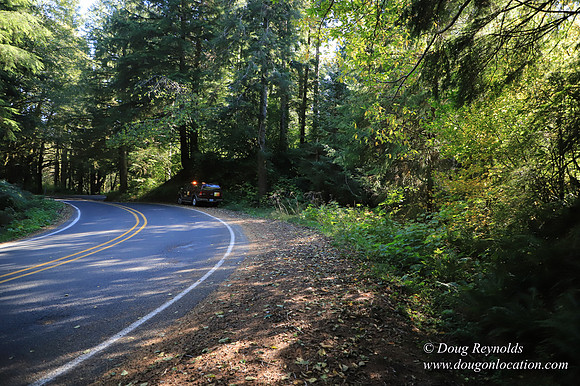 Hwy 53