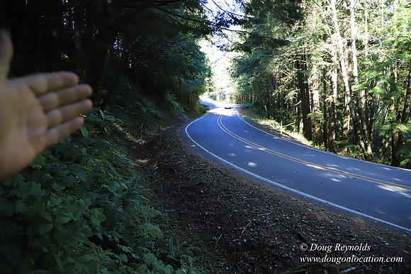 Hwy 53