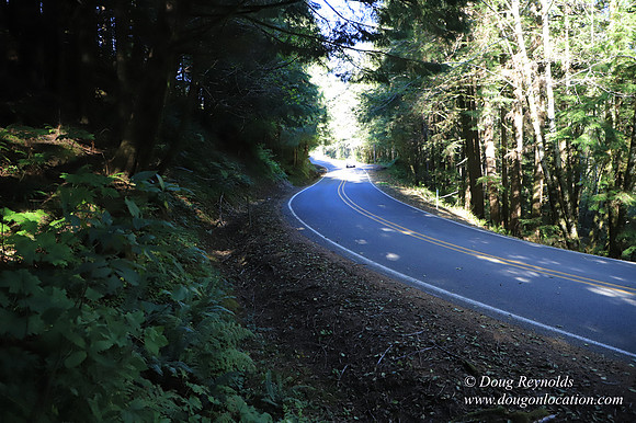 Hwy 53