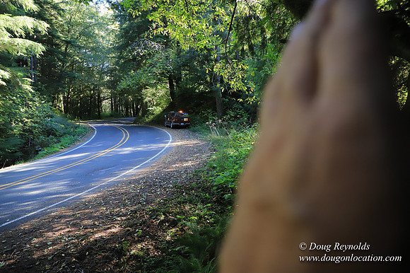 Hwy 53