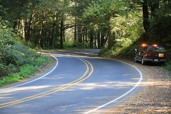 Hwy 53