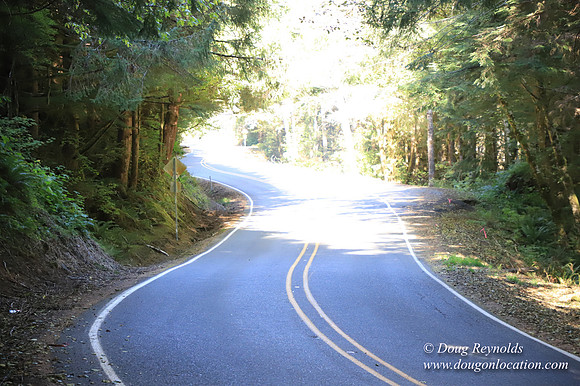 Hwy 53