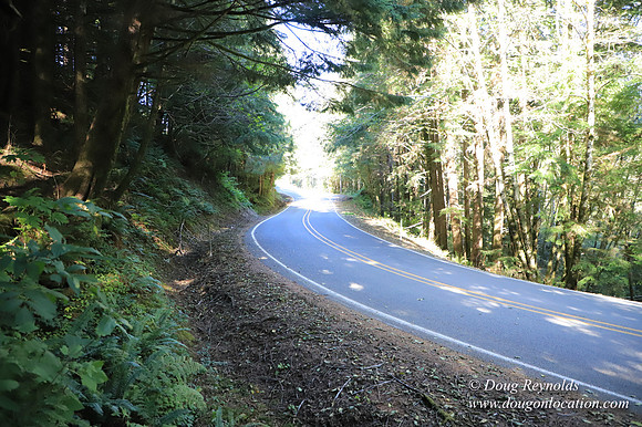 Hwy 53