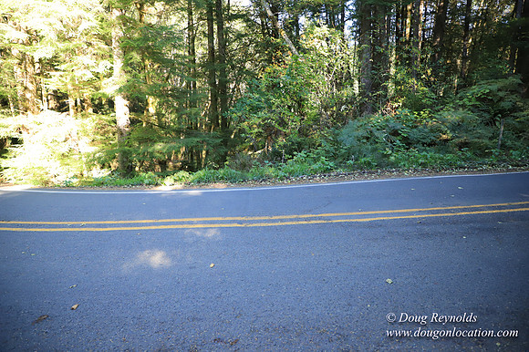 Hwy 53