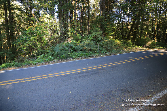 Hwy 53