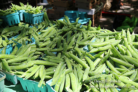 Portland PSU Farmers Mkt-5790