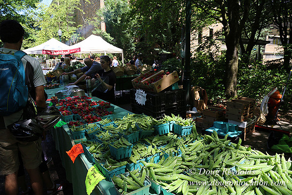 Portland PSU Farmers Mkt-5791