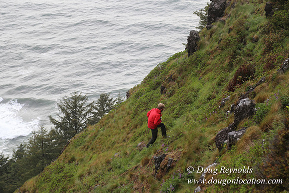 Ross Cape Perpetua-1773