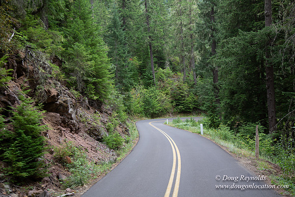 Road M384P