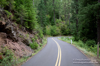 Road M384P