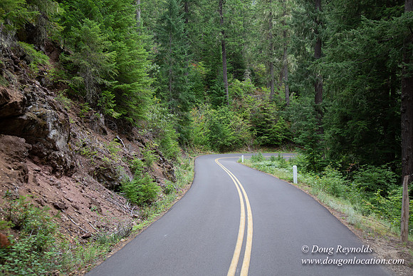 Road M384P