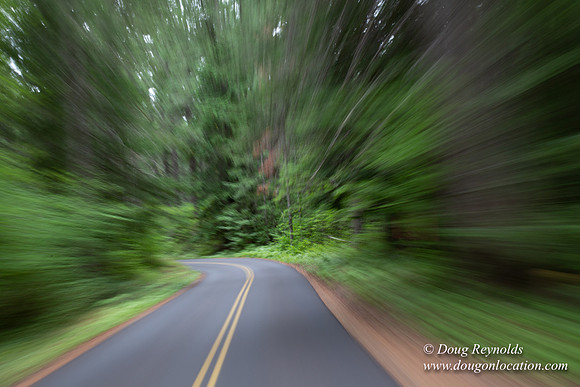Road M384P