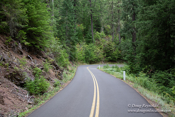 Road M384P