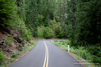 Road M384P