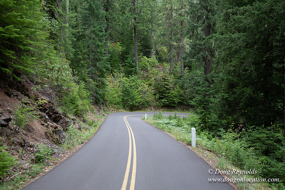 Road M384P