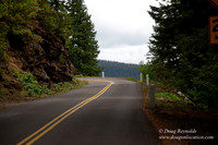 Road M384P