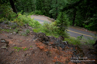 Road M384P
