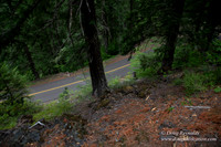 Road M384P