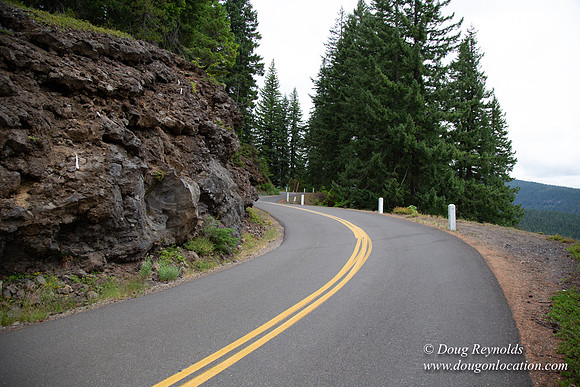 Road M384P