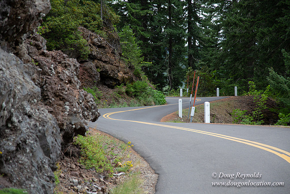 Road M384P