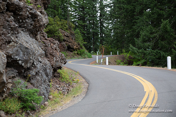 Road M384P