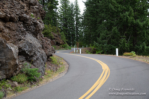 Road M384P