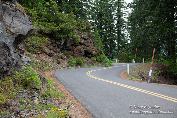 Road M384P