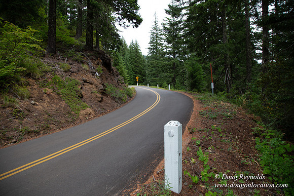 Road M384P