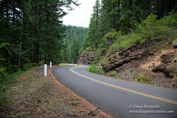 Road M384P