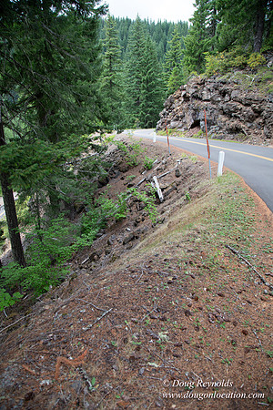 Road M384P