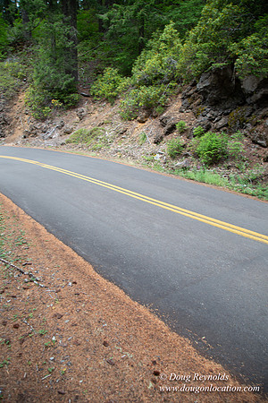 Road M384P