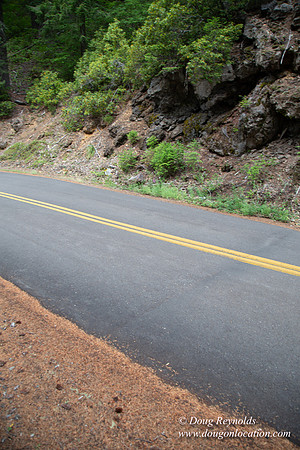 Road M384P
