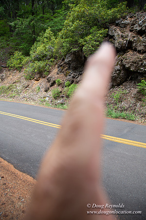 Road M384P