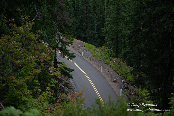 Road M384P
