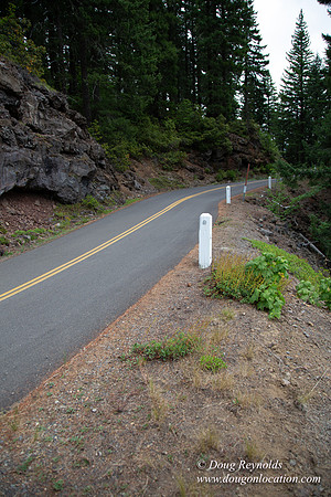 Road M384P