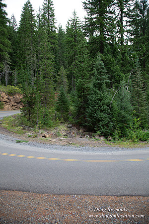 Road M384P
