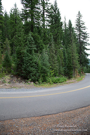 Road M384P