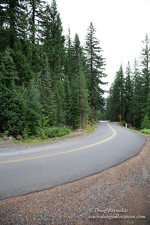 Road M384P